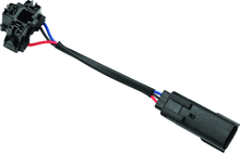 Load image into Gallery viewer, Photo - Primary