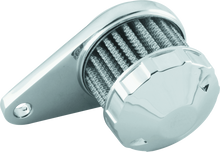 Load image into Gallery viewer, Photo - Primary