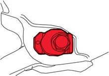 Load image into Gallery viewer, Photo - Primary