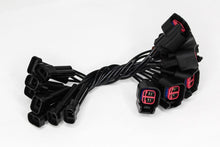 Load image into Gallery viewer, Photo - Primary