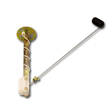 Load image into Gallery viewer, Photo - Primary