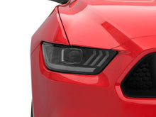 Load image into Gallery viewer, Photo - Close Up