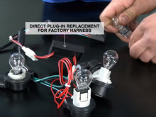 Load image into Gallery viewer, Photo - Close Up