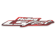 Load image into Gallery viewer, 10133hol_02.jpg
