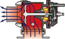 Load image into Gallery viewer, Photo - Primary