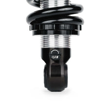 Load image into Gallery viewer, Photo - Close Up