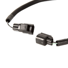 Load image into Gallery viewer, Photo - Unmounted