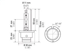 178560811_PT01.jpg
