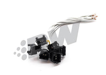 Load image into Gallery viewer, Photo - Primary