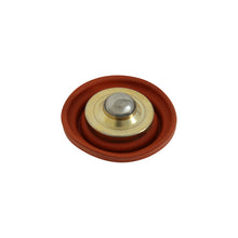 Load image into Gallery viewer, Photo - out of package