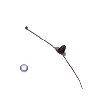 Load image into Gallery viewer, Photo - Close Up