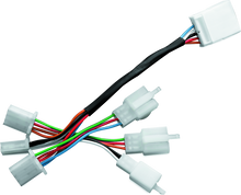 Load image into Gallery viewer, Photo - Primary