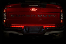 Load image into Gallery viewer, Photo - Mounted