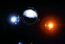 Load image into Gallery viewer, User 1