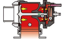 Load image into Gallery viewer, Photo - Primary