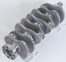 Load image into Gallery viewer, Photo - Primary