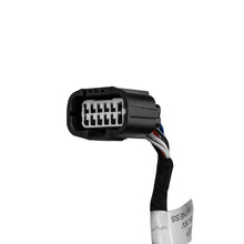 Load image into Gallery viewer, Photo - Primary