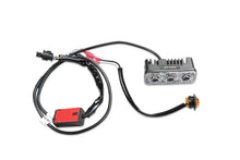 Load image into Gallery viewer, Photo - Unmounted