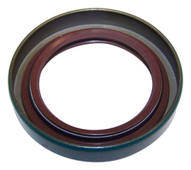 4798125.jpg