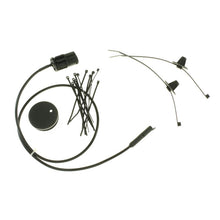 Load image into Gallery viewer, Photo - Primary