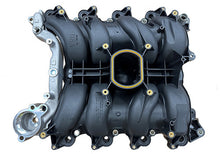 Load image into Gallery viewer, User 1