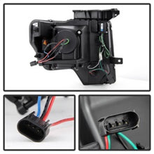 Load image into Gallery viewer, Photo - Unmounted