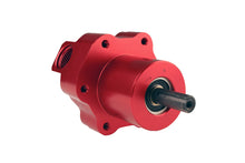 Load image into Gallery viewer, Photo - Primary