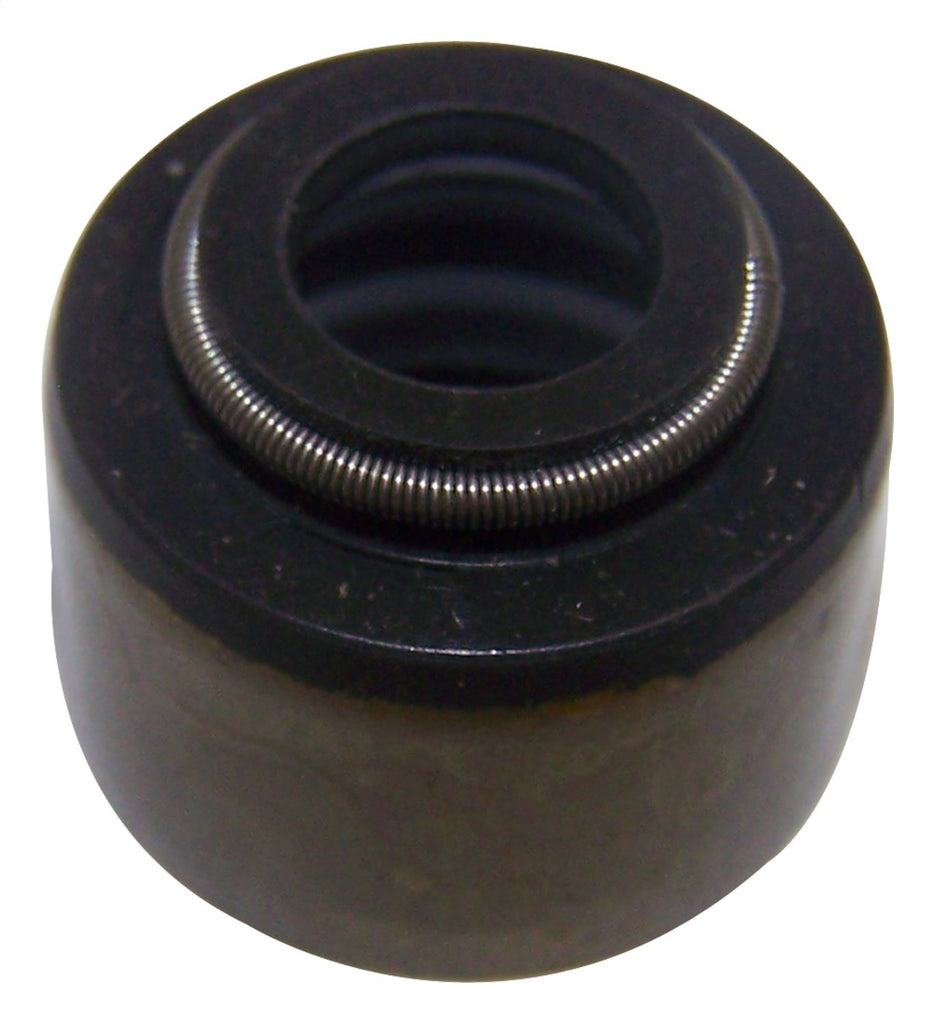 53009886.jpg