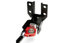 Load image into Gallery viewer, Photo - Close Up