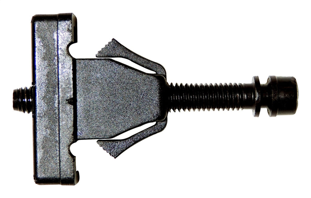 55054621.jpg