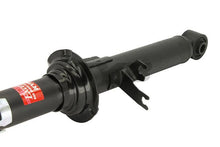 Load image into Gallery viewer, Photo - Primary