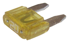 6101488.jpg