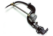 Load image into Gallery viewer, Photo - Primary