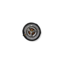Load image into Gallery viewer, 6368_04.jpg