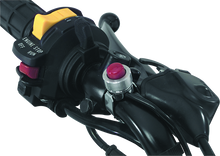 Load image into Gallery viewer, Photo - Primary