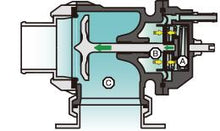 Load image into Gallery viewer, Photo - Primary