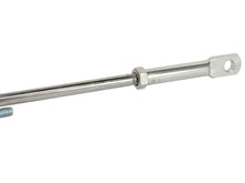 Load image into Gallery viewer, Photo - Unmounted