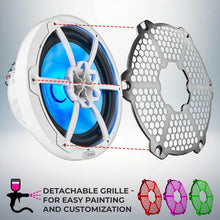 Load image into Gallery viewer, Photo - Primary