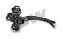 Load image into Gallery viewer, Photo - Primary