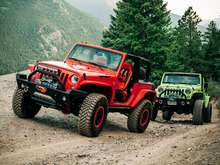 Load image into Gallery viewer, Photo - Close Up