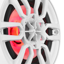 Load image into Gallery viewer, Photo - Primary