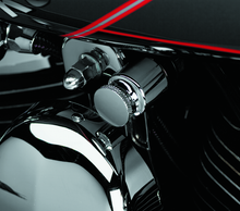 Load image into Gallery viewer, Photo - Primary