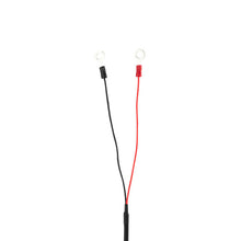 Load image into Gallery viewer, Photo - Primary