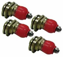 Load image into Gallery viewer, Photo - Primary