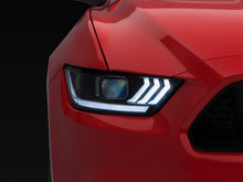 Load image into Gallery viewer, Photo - Close Up