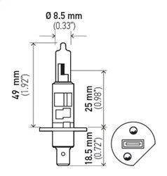 H1_24V_PT01.jpg