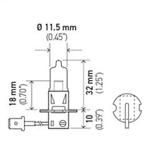 Load image into Gallery viewer, H3_PT01.jpg