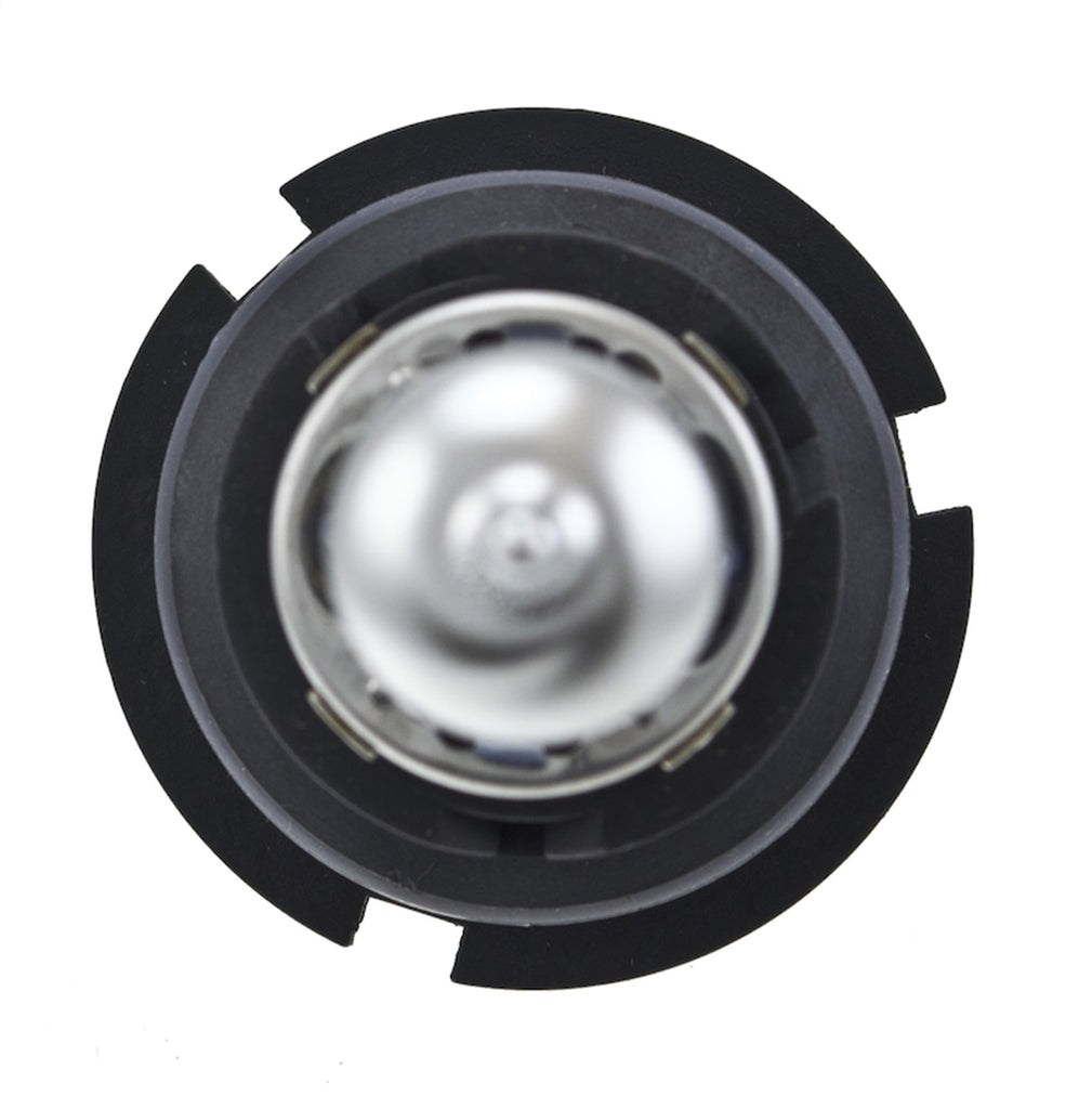 H71070387_TOPP.jpg