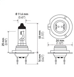 H7_24V_PT01.jpg