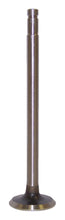 Load image into Gallery viewer, J0928342.jpg